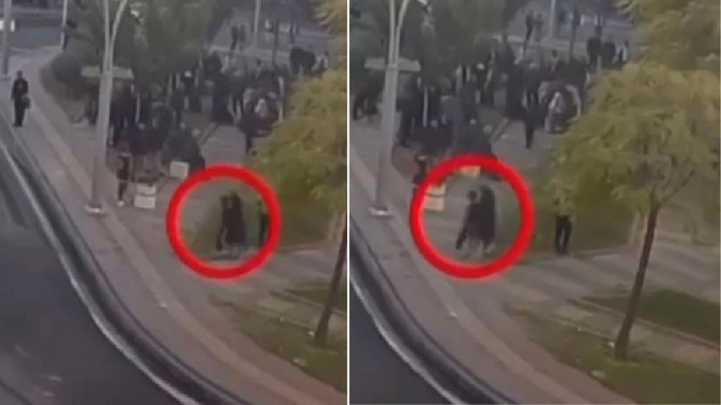 Batman'da oğlunu sokak sokak aradı! Terör yandaşlarının arasından çıkardı...