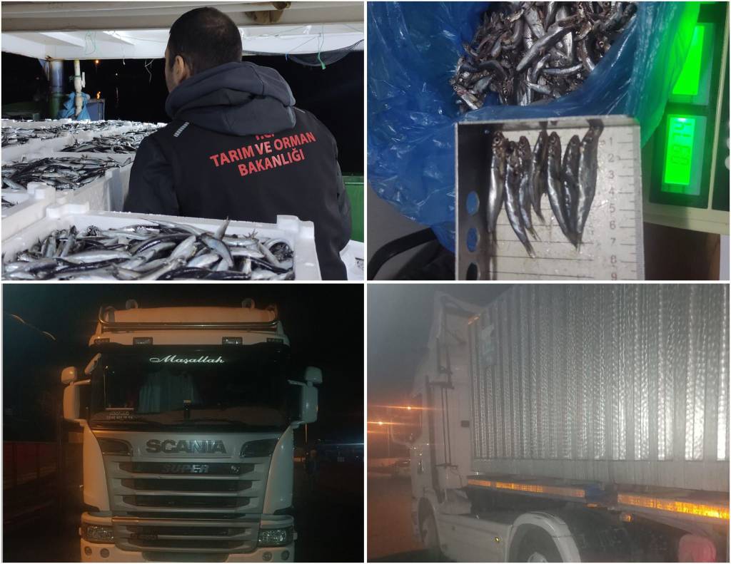 Sinop'ta tonlarca hamsiye el konuldu...