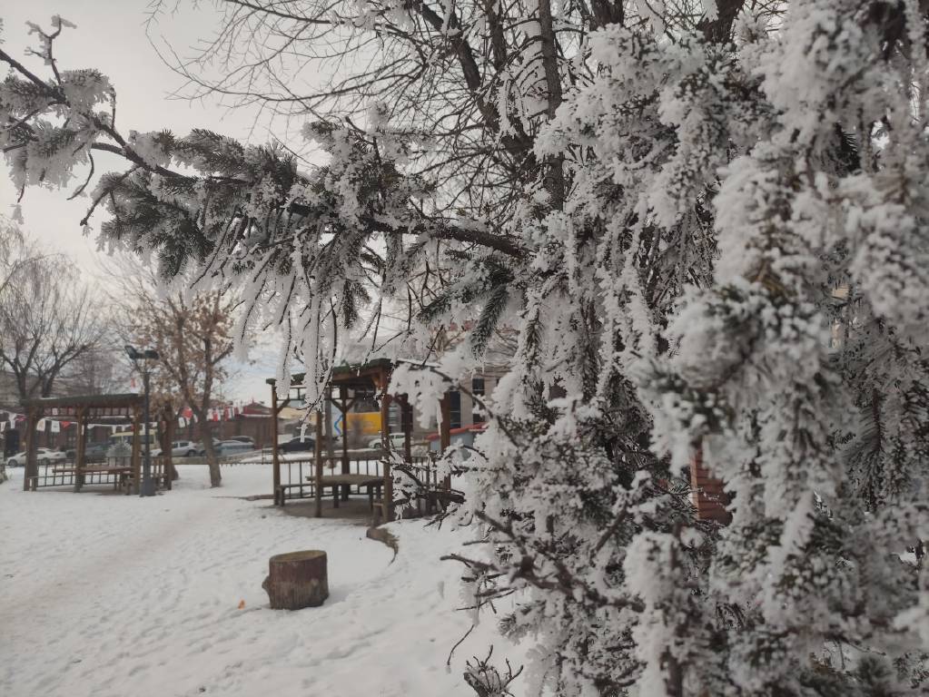 Meteoroloji duyurdu: Ardahan Göle eksi 24'ü gördü...