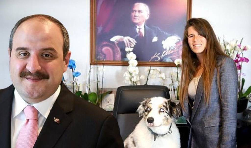 Lal Denizli'den Mustafa Varank'a: 'Köpeğim bile sizden daha mantıklı davranışlara sahip'