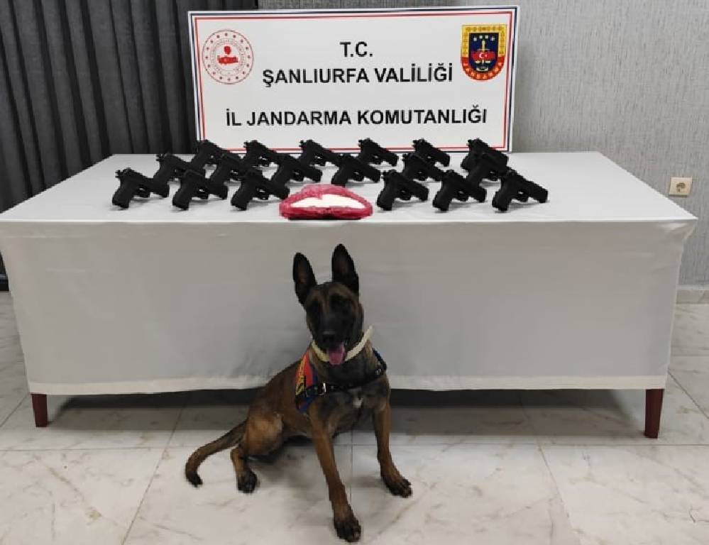 Şanlıurfa'da 18 tabanca ele geçirildi