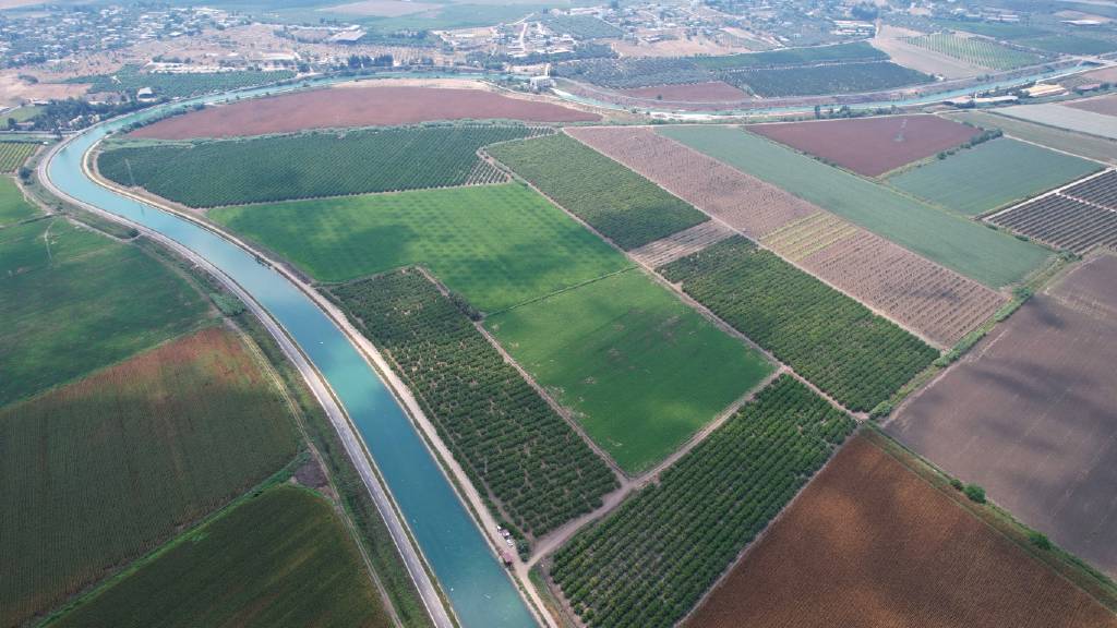 Adana'da çiftçilere kritik uyarı: 'Su yok, ekim yapmayın'