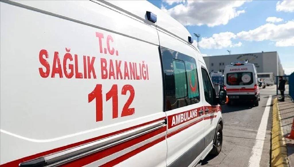 Arı sokması can aldı