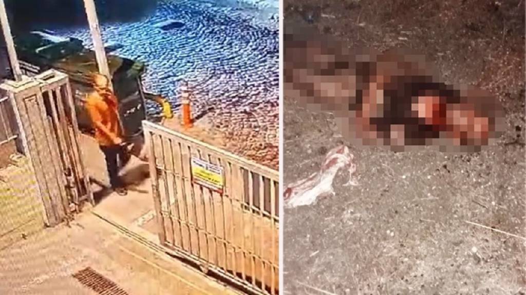 Sokak köpeklerinin parçalayarak öldürdüğü adamla ilgili kahreden detay!