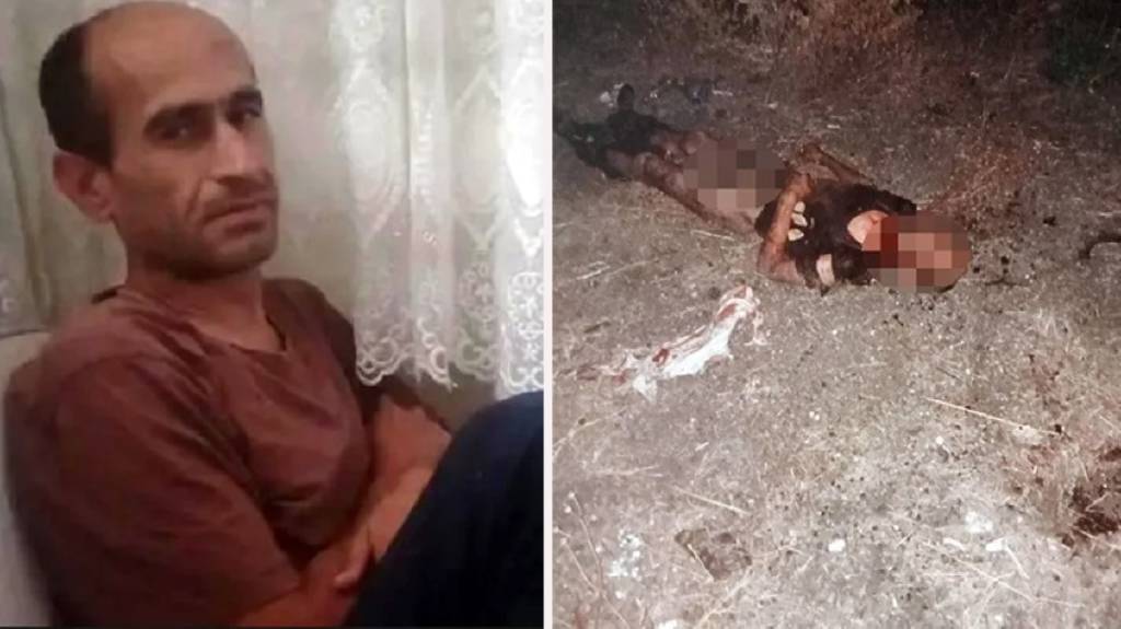 Cinayet mi sokak köpeği saldırısı mı? Türkiye'nin konuştuğu vahşetin tüm detayları hastane raporunda...