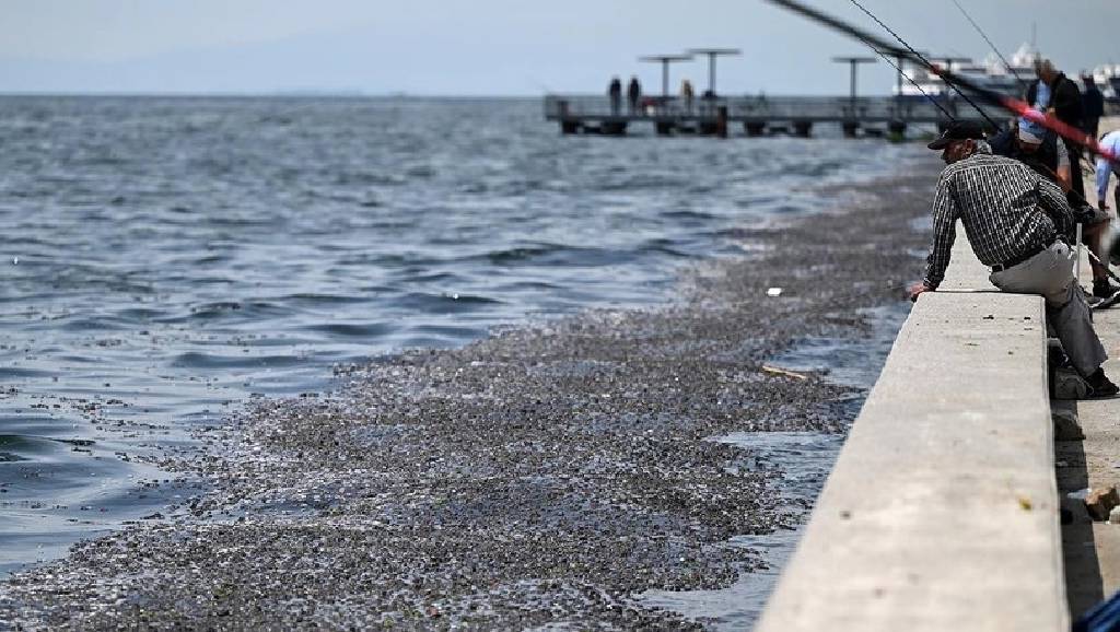 İzmir Körfezi’ndeki kirlilikle ilgili belediye hakkında suç duyurusu