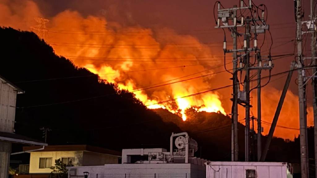Japonya’da orman yangını alarmı: 2 eyalet alevlere teslim oldu