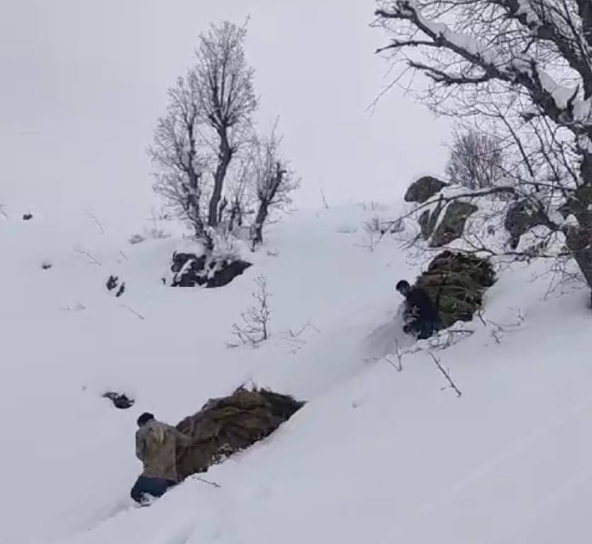 Hakkari'de besicilerin zorlu kış mesaisi…
