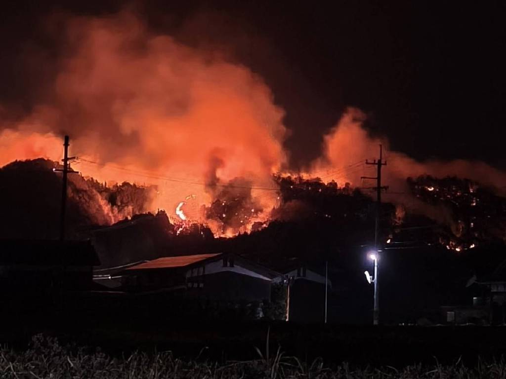 Japonya’da 4 gündür süren orman yangınları 1 eyalete daha sıçradı