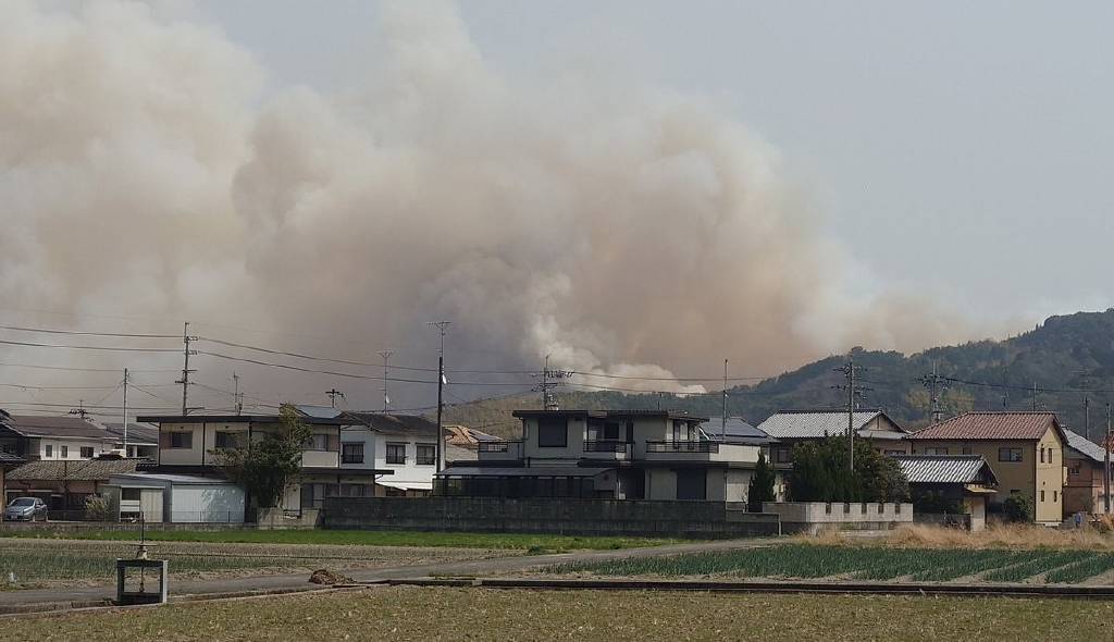 Japonya'da orman yangınları sürüyor...
