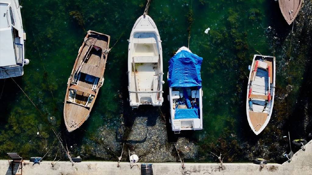 İstanbul Beykoz'da müsilaj alarmı