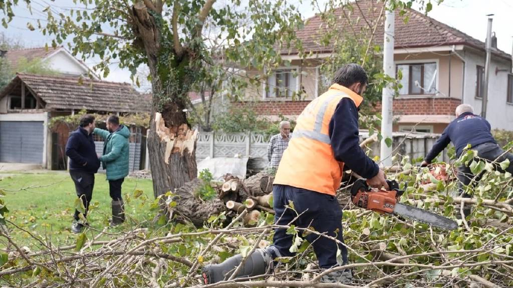 Düzce'de fırtınada devrilen ağaçlar kaldırılıyor
