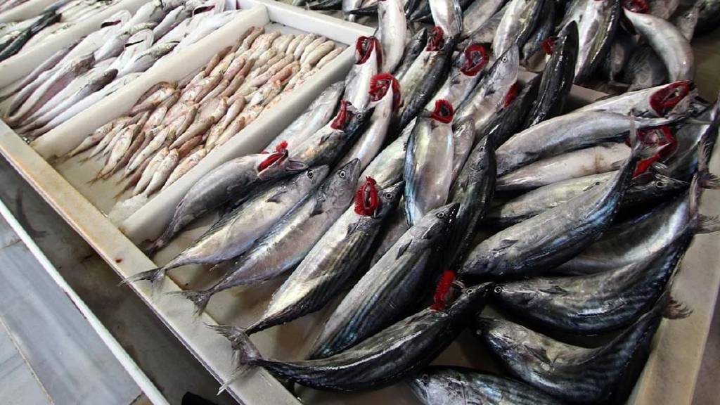 Boğaza balık kılçığı kaçarsa ekmek yemeyin: Doğru müdahale nasıl?