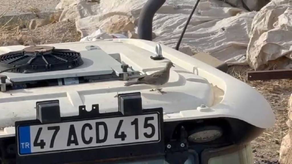 Kumru yuva yaptı diye traktörünü 33 gün çalıştırmadı