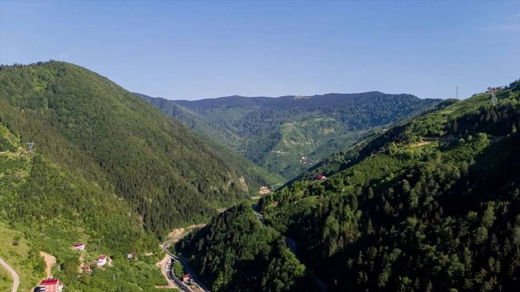 Giresun'un adı nereden geliyor? Kirazla başlayan hikaye