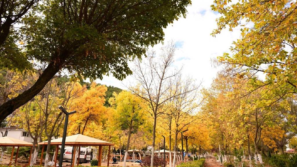 Manisa Demirci'de sonbahar renkleri büyüledi