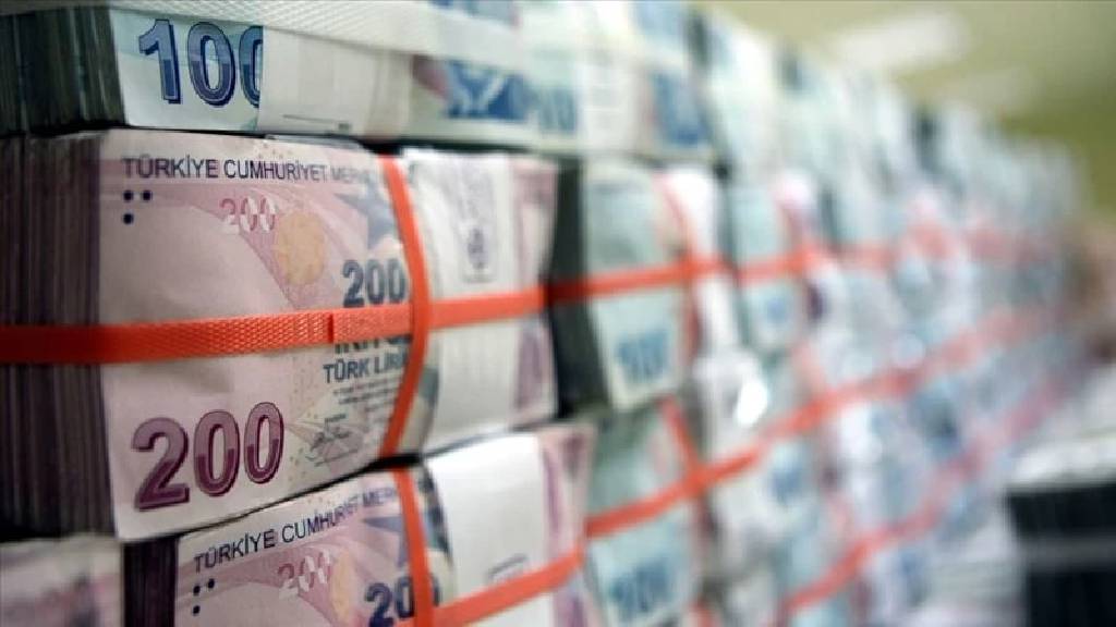 "Türkiye'nin gri liste riski bulunmuyor"